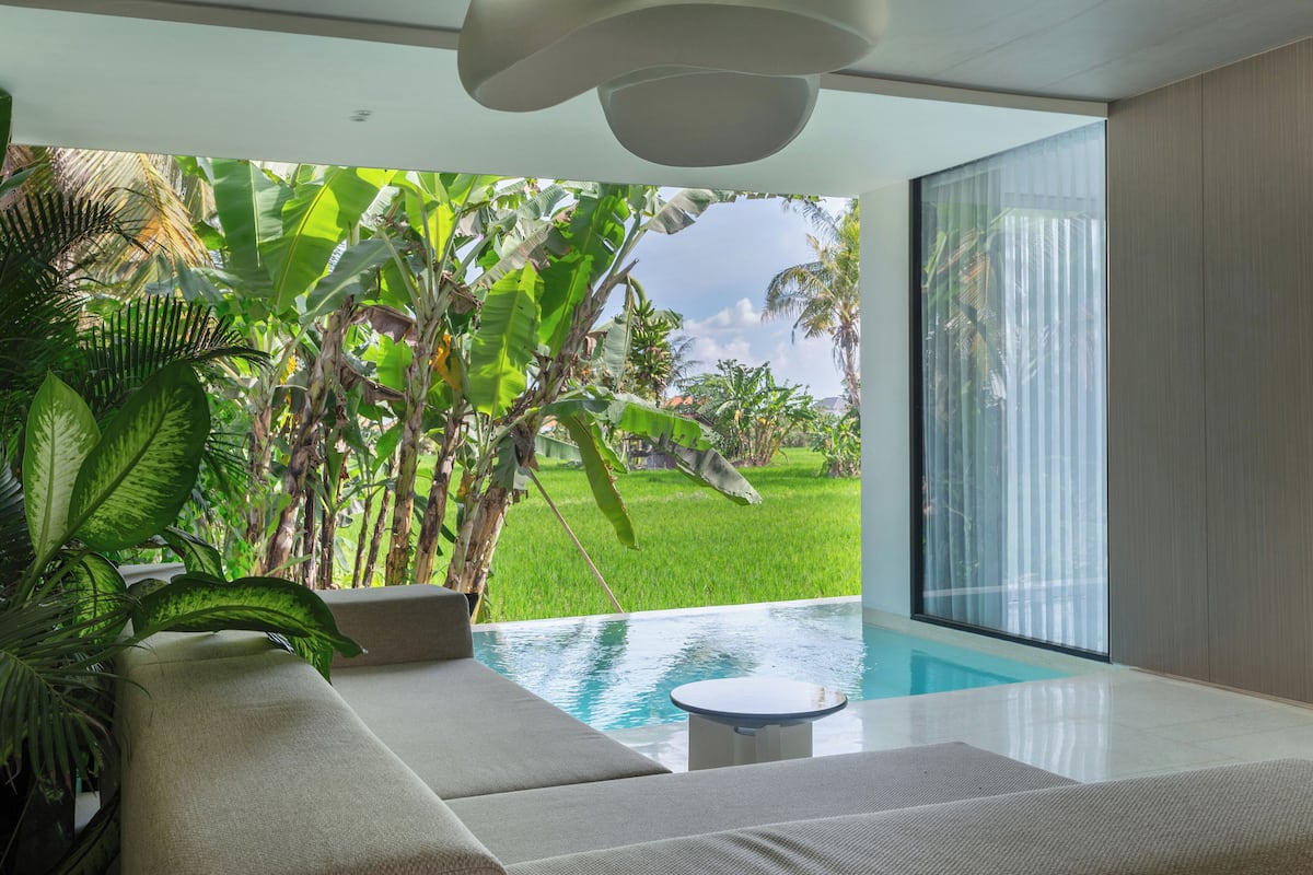A modern indoor pool area with a view of a lush garden and a large window.