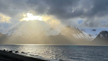 Am Strand