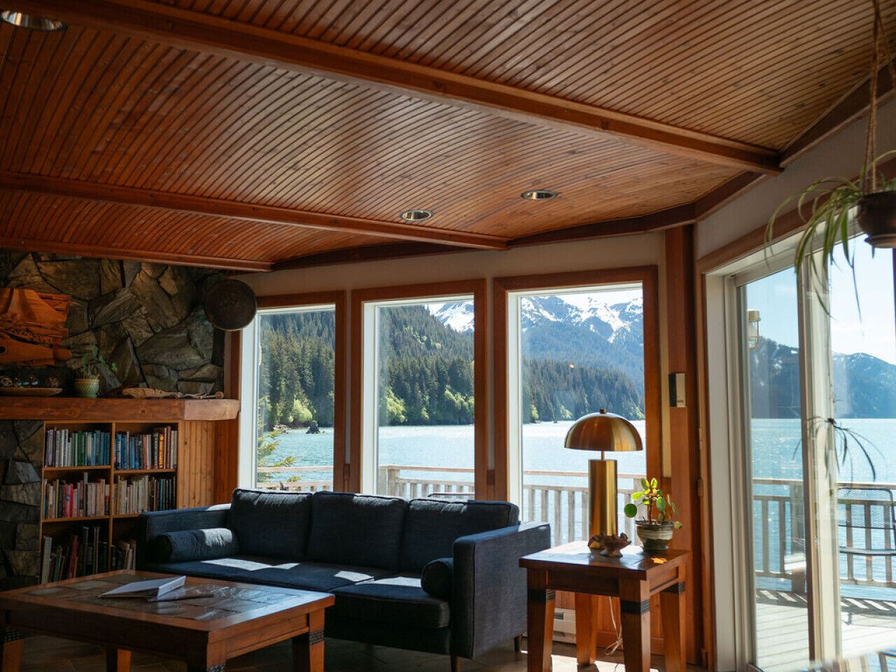 Smart TV, fireplace, books