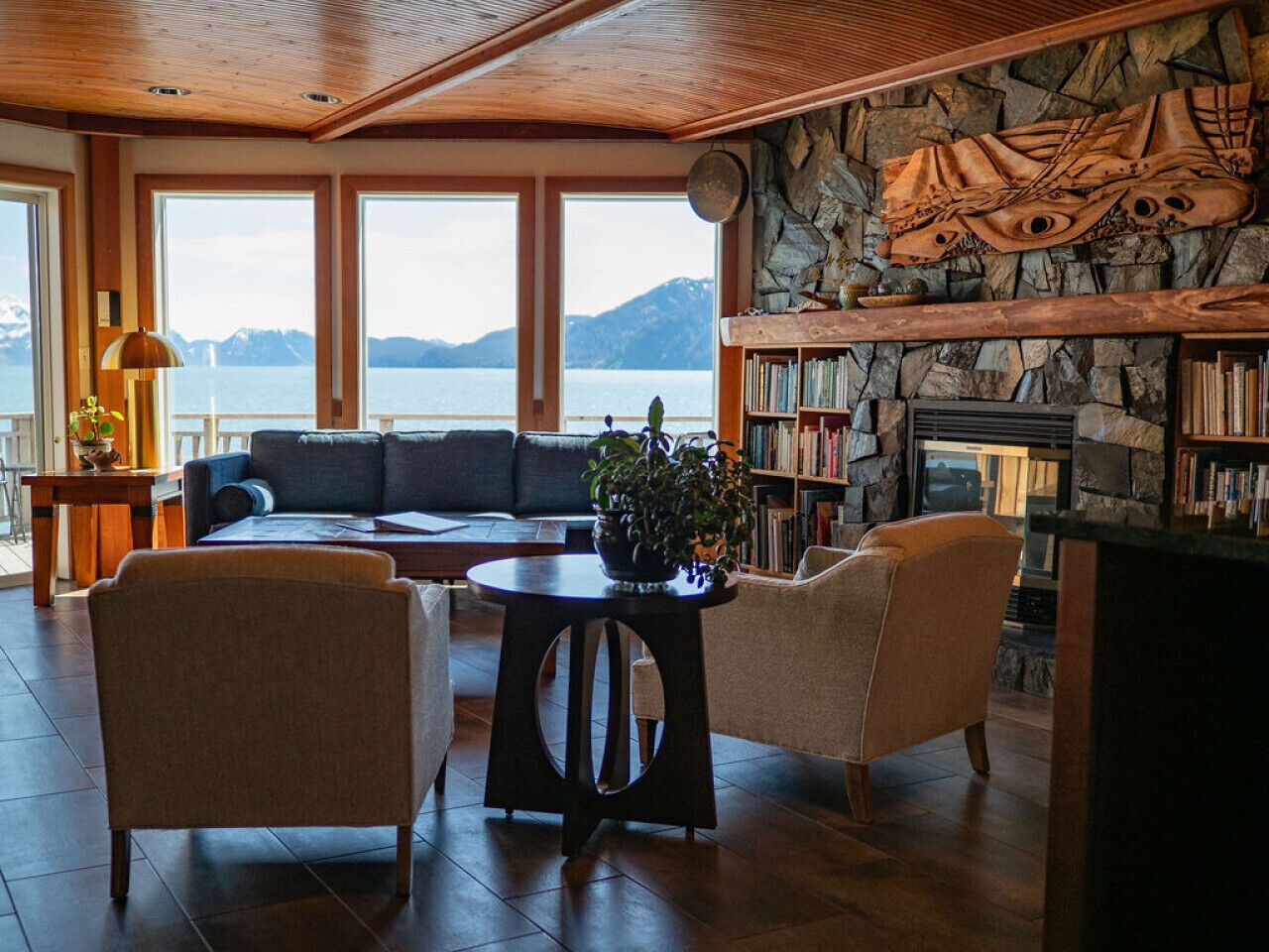 Smart TV, fireplace, books
