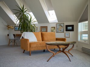 Smart TV, fireplace, books