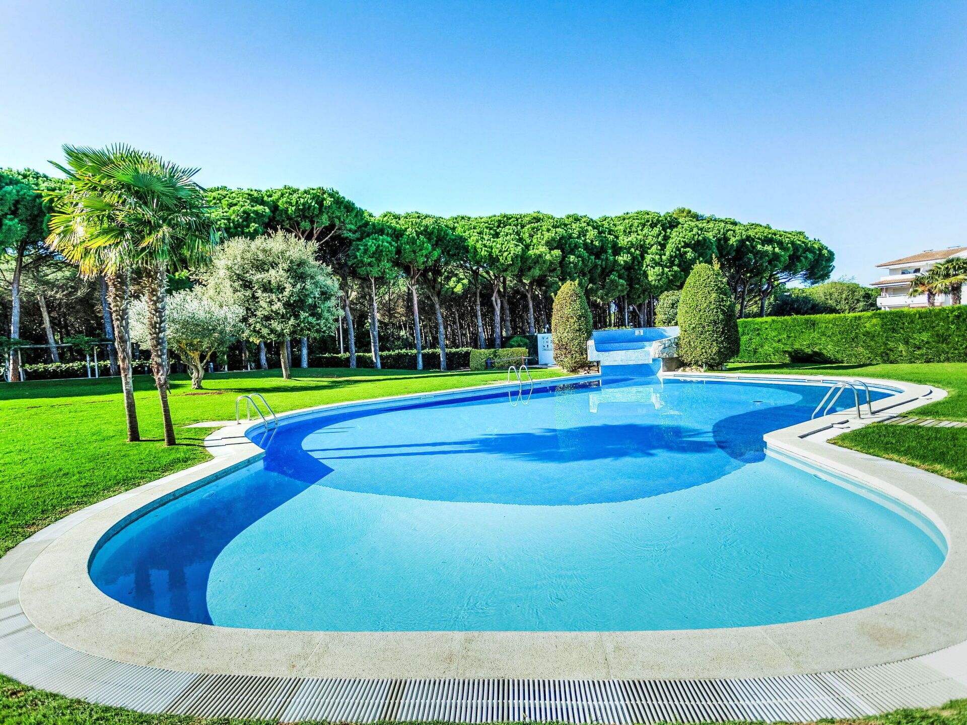 A swimming pool with a curved design, surrounded by a well-maintained lawn and trees.
