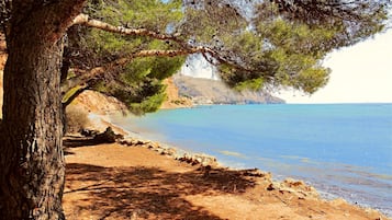 Playa en los alrededores