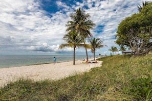Guests can enjoy a serene beach experience with palm trees providing shade along the sandy shore.