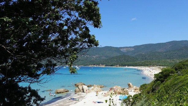 A beach with clear blue water, rocky outcrops, and lush greenery. - Casa Léa (Sollacaro)