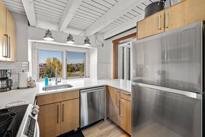 Fridge, microwave, oven, stovetop - Remodeled! HotTub-Steps to Free Ski/Town Free Bus Stop-W/D in Unit-Fireplace-Deck+ 2 Parking Passes (Steamboat Springs)