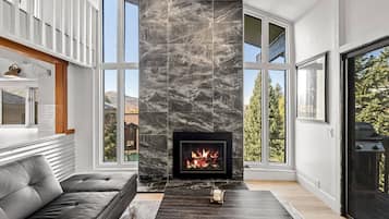 Smart TV, fireplace, books