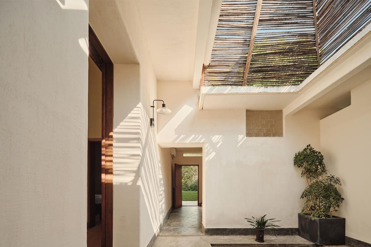 A modern interior with a concrete floor, a skylight, and a potted plant.