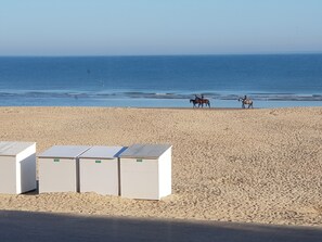 Di pantai dan pasir putih