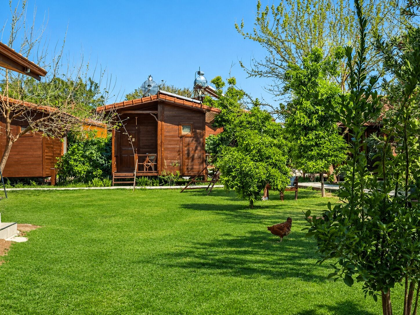 A wooden cabin with a porch, surrounded by a well-maintained lawn and trees.