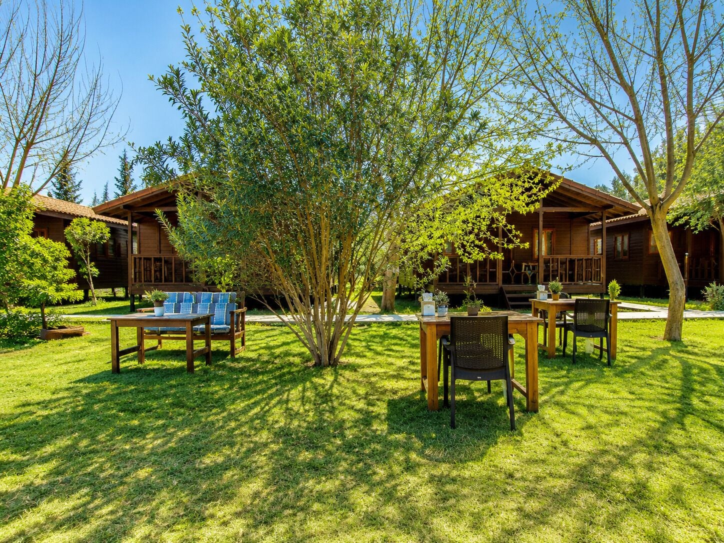 A wooden cabin with a patio area featuring a table and chairs, surrounded by lush greenery and trees.