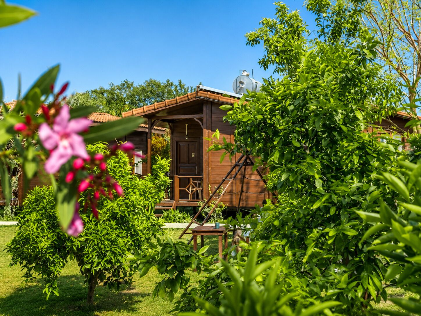 Une cabane en bois dotée d’un porche, entourée d’une végétation luxuriante et surplombée d’un ciel bleu azur.