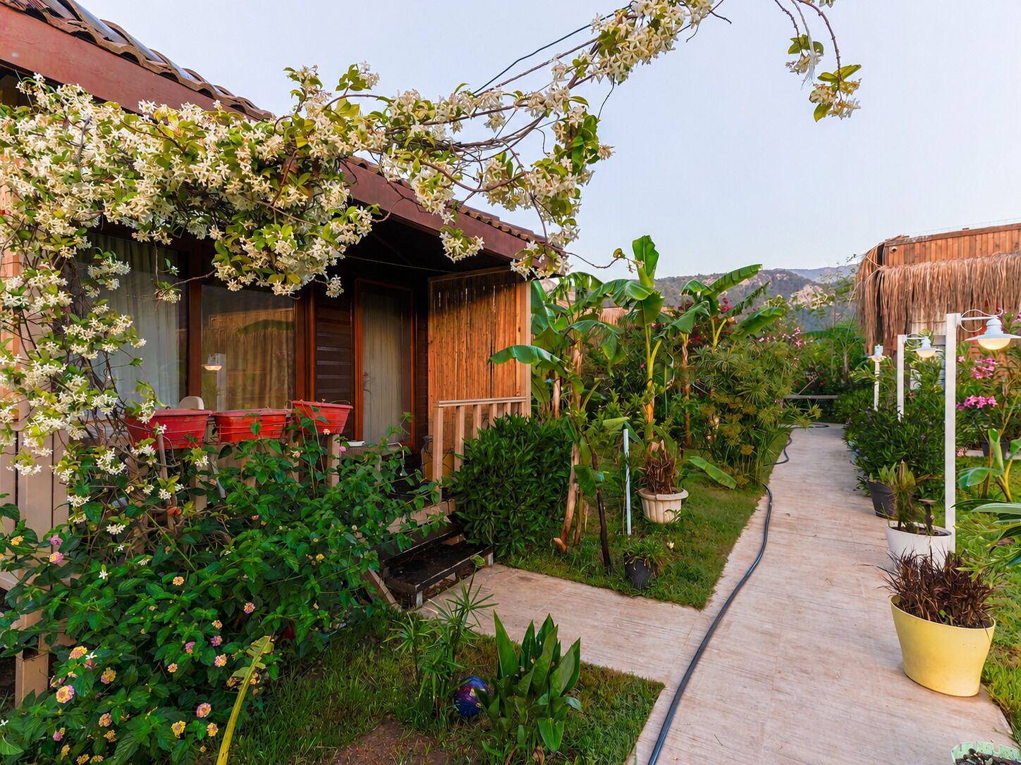 Una casa con porche de madera, un jardín con diversas plantas y un sendero que conduce a la casa.