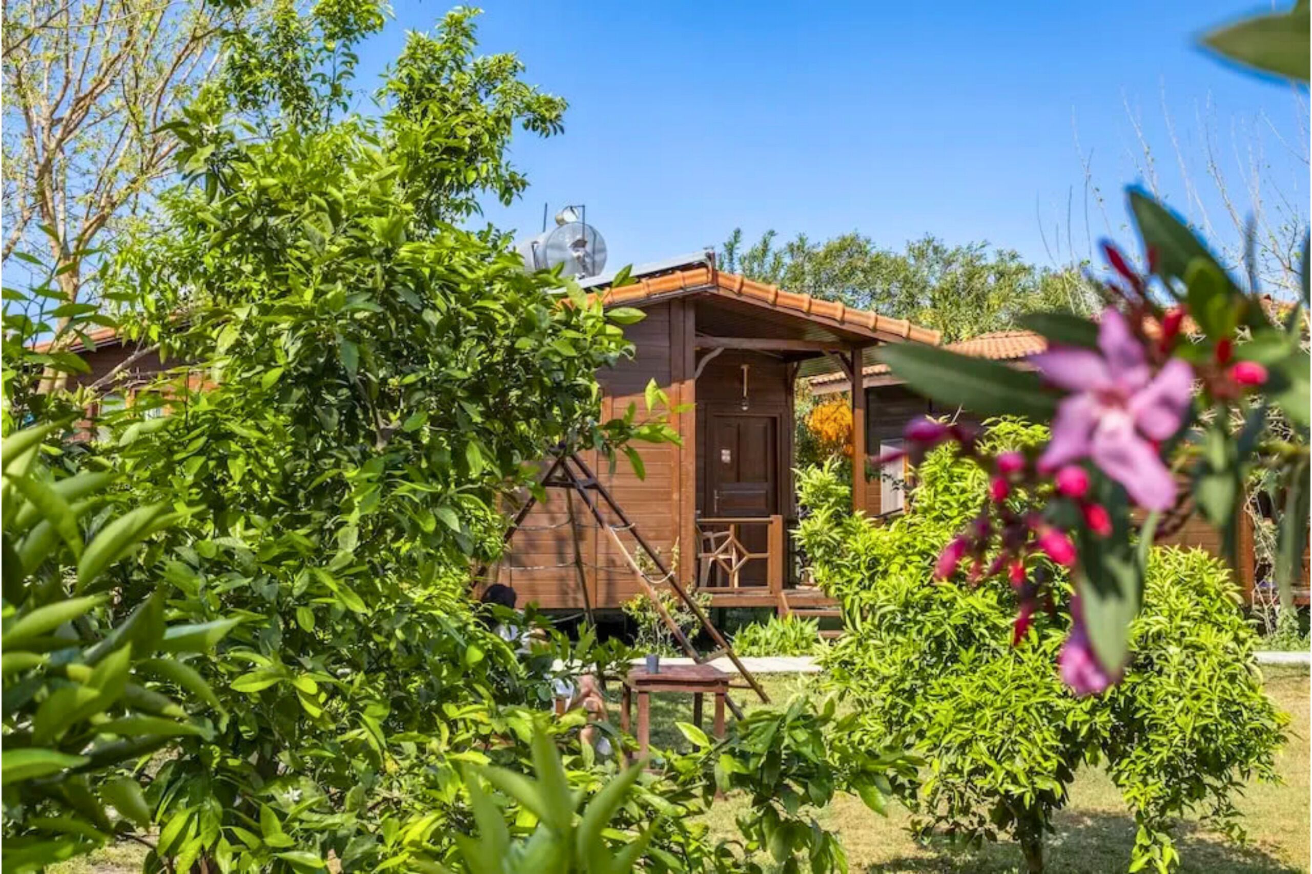 Bungalow Deluxe | Vistas a la montaña