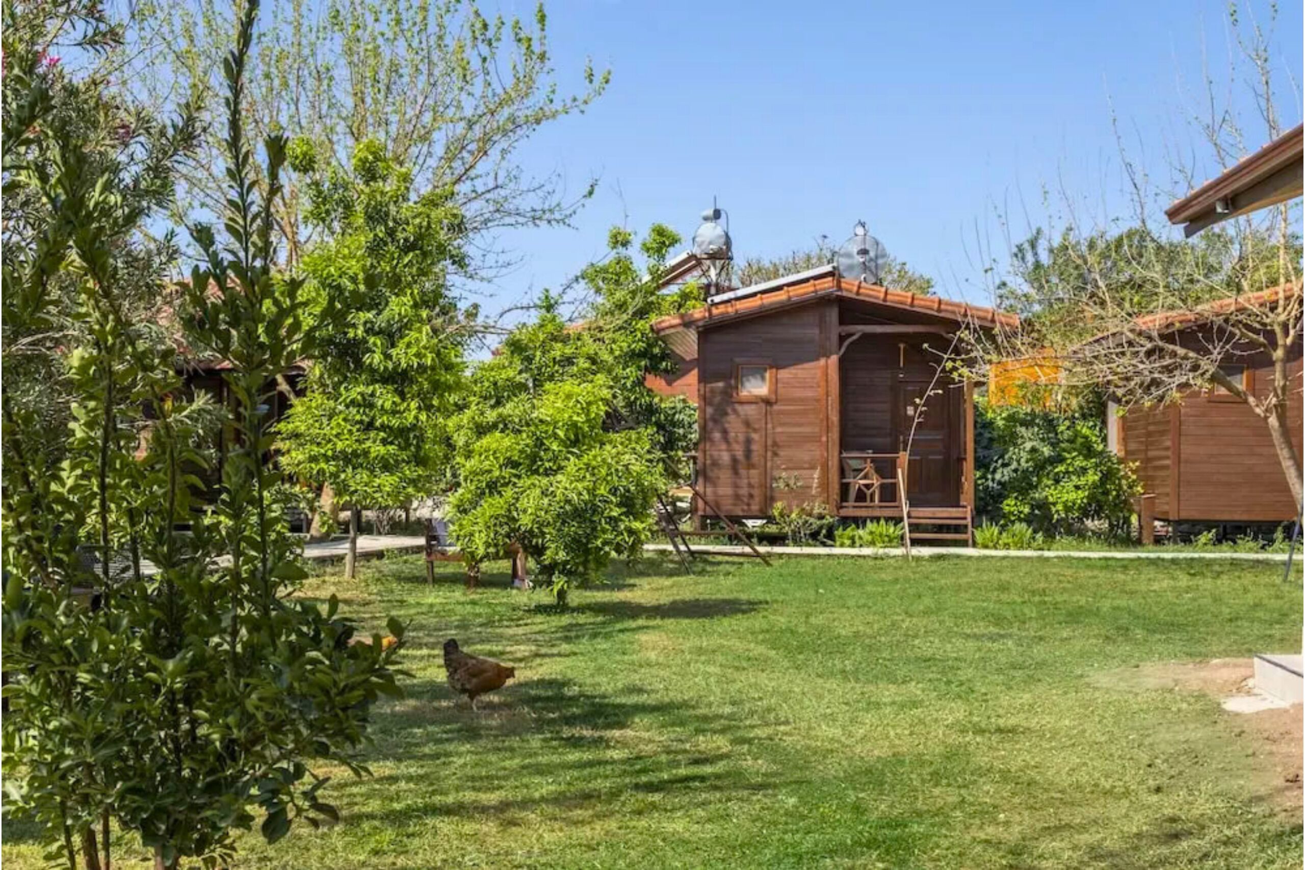 Deluxe Bungalow | Terrace/patio