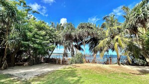 A tropical garden with palm trees and a view of the ocean.