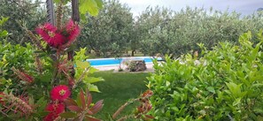 Property grounds - Villa Kucine Olives Garden (Solin)