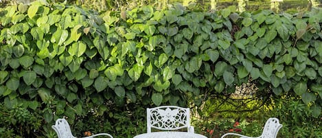 Jardin