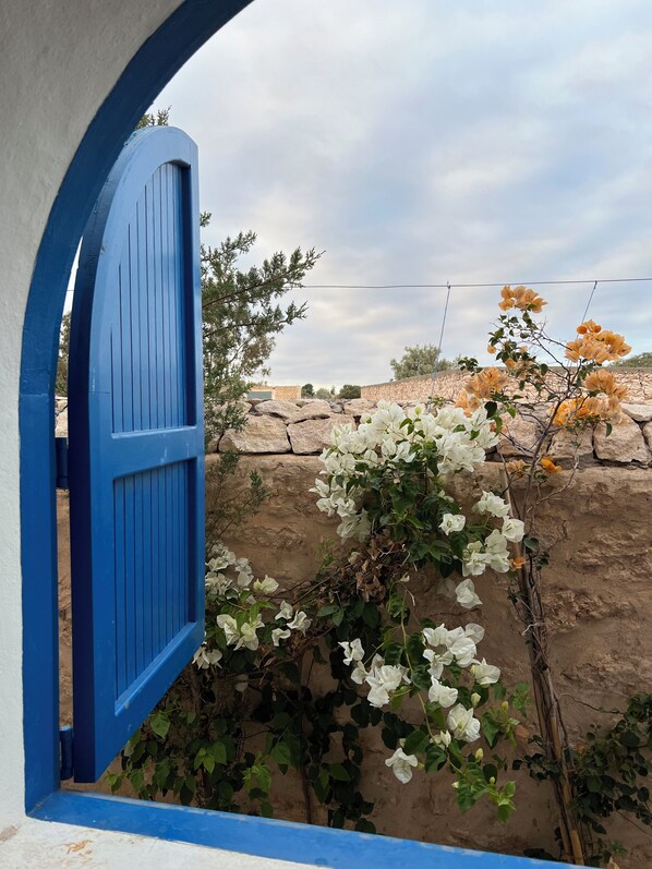 Exterior detail - Small countryside house, beautiful, very cozy.
Pet friendly (Sidi Kaouki)