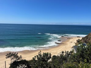 Ein Strand mit klarem, blauem Wasser, sandigem Ufer und etwas Vegetation im Vordergrund.
