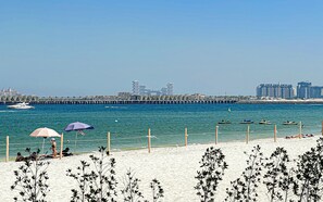 Enjoy breathtaking ocean views and a vibrant cityscape from this beachfront location.