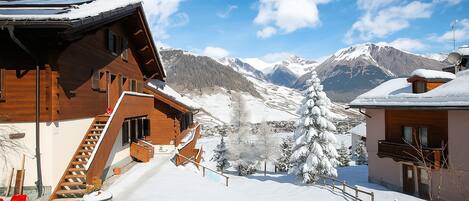 Family Apartment, 1 Bedroom, Mountainside (Casa Ciuk) | Mountain view