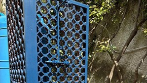 Una cerca de metal azul con un diseño hexagonal, una pequeña zona con baldosas naranjas y un árbol de hojas verdes.