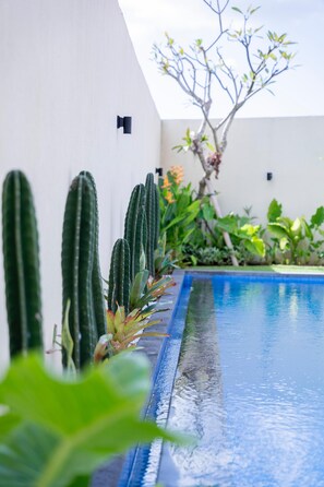 Pool - Spacious New 2-BR Villa in Canggu, 10 Minutes from the Beach (Canggu)