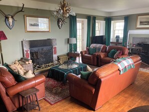 Smart TV, fireplace, DVD player, books