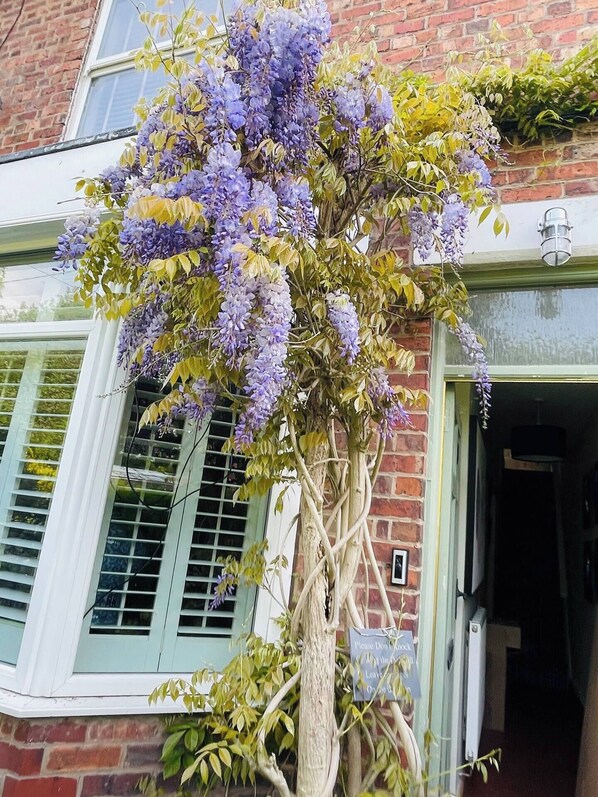 Exterior detail - Elegant Countryside Escape: Knutsford, Plumley Cottage with garden and parking (Plumley)
