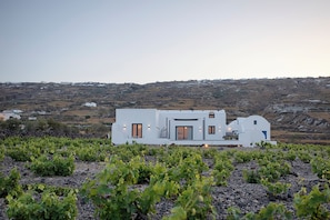 Exterior - Vinebranch Villas (Santorini)