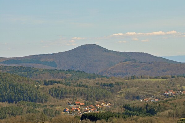 Un pueblo con casas y una montaña al fondo.