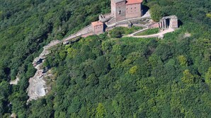 An aerial view of a castle on a hill surrounded by dense forest.