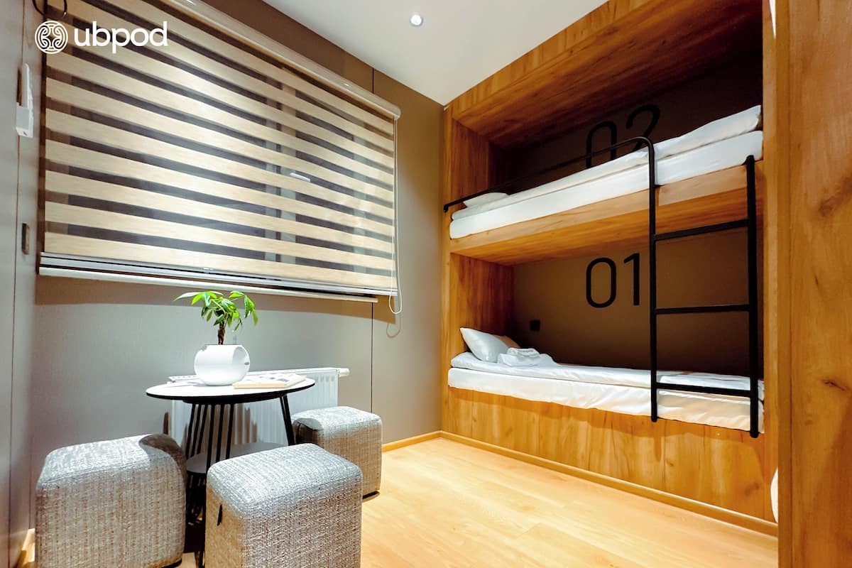 A compact room with a bunk bed, a small table with a plant, and a window with blinds.