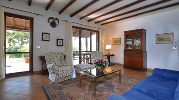 21-inch Smart TV with satellite channels, fireplace