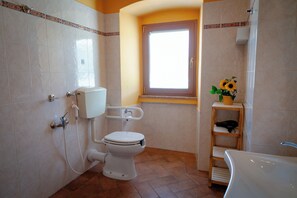 Shower, hair dryer, bidet, towels - The Ancient Seagull: Bed and Breakfast (Toscana)