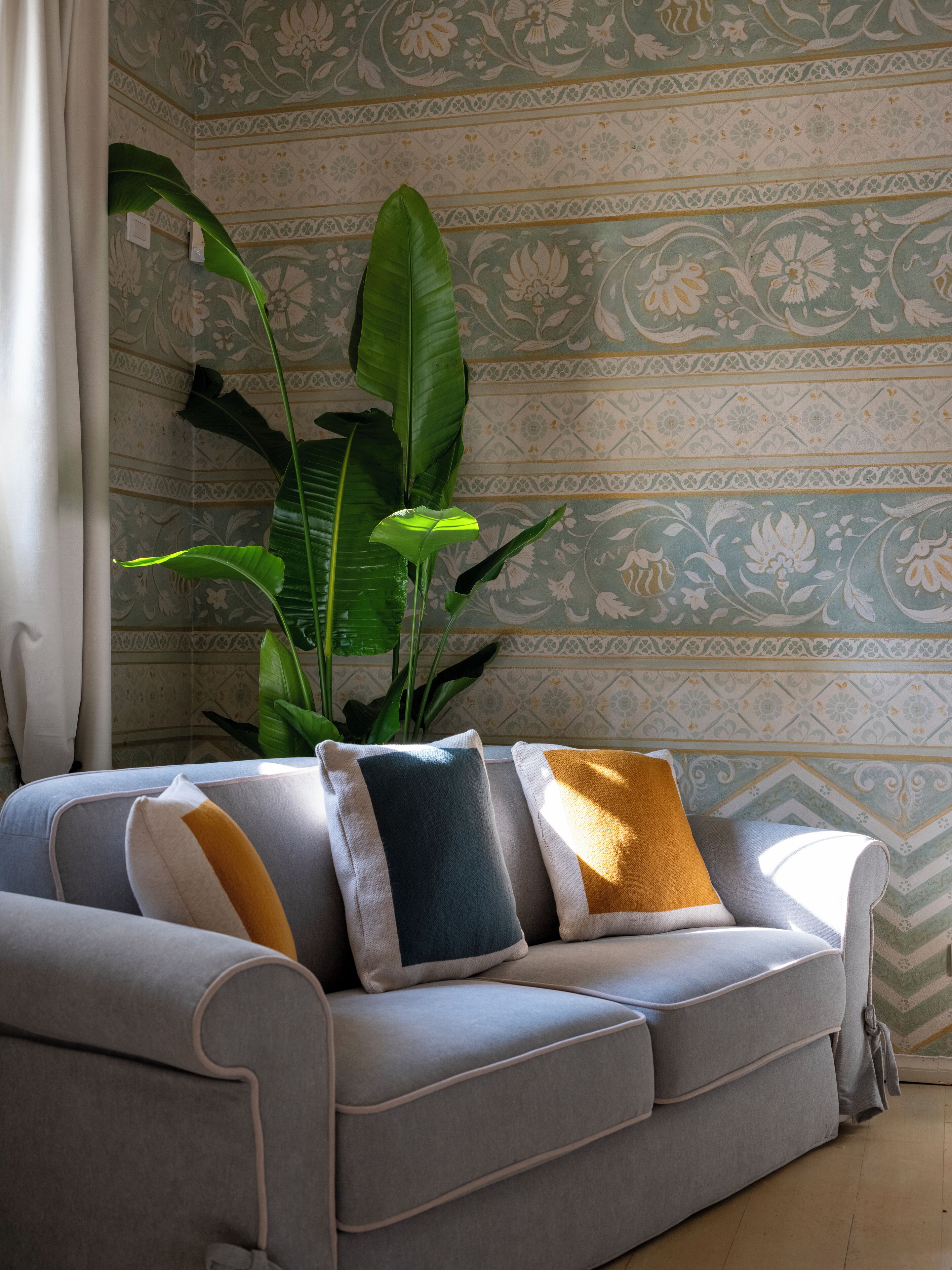 A grey sofa with three cushions in a room with patterned wallpaper and a large green plant.