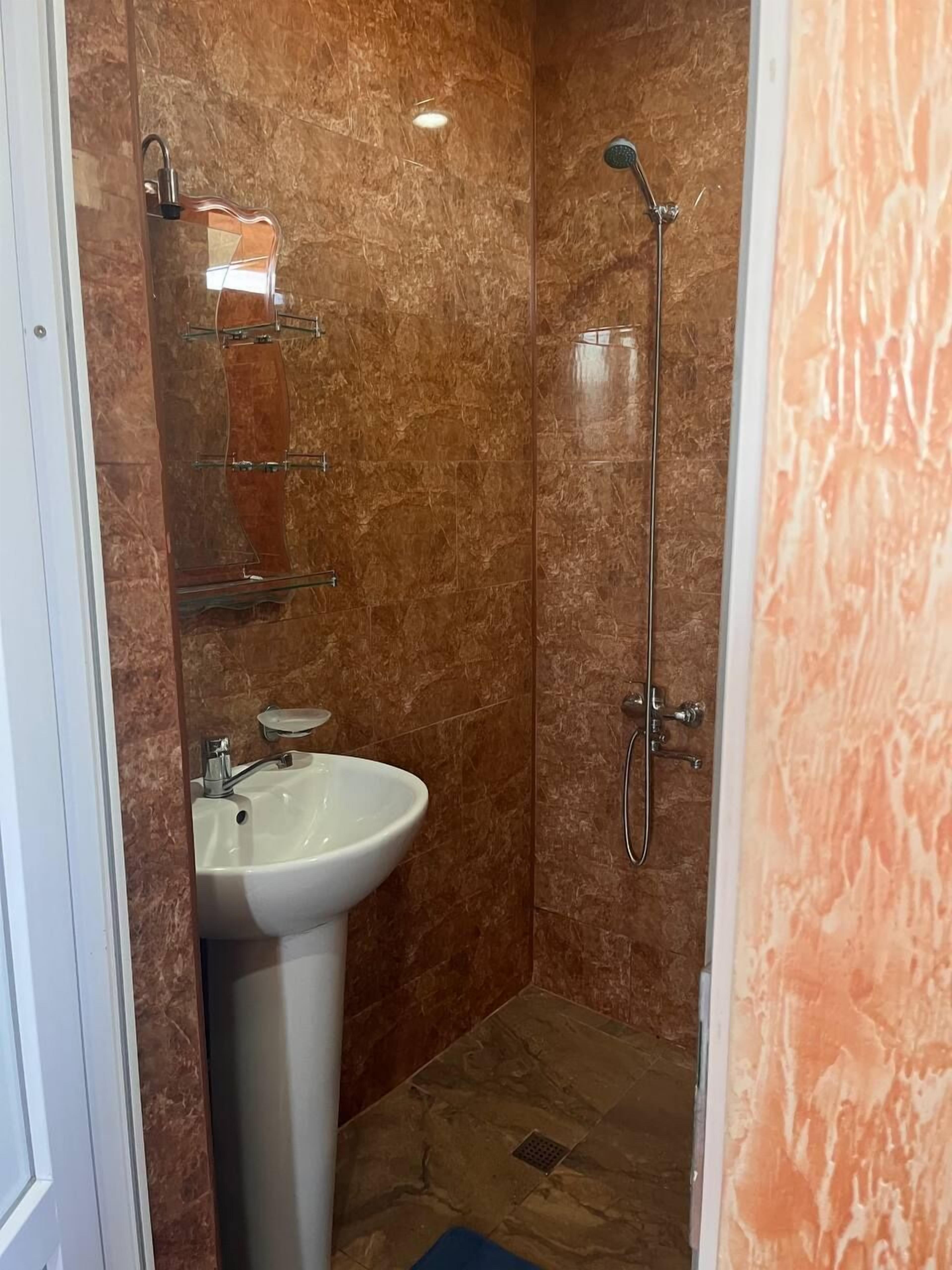 A small bathroom with a pedestal sink, a handheld showerhead, and a marble-tiled wall.