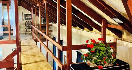 Rustic Cabin on beautiful Little Pine Creek