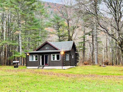 Rustic Cabin on beautiful Little Pine Creek 