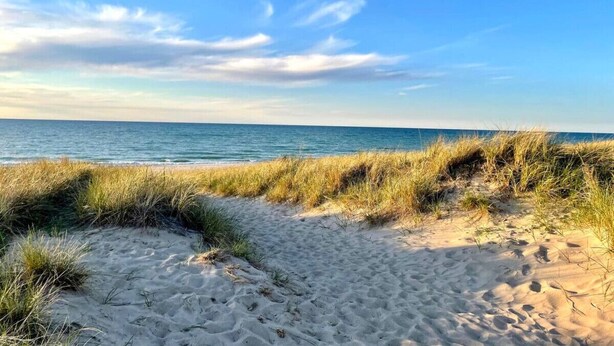 Un sentier sablonneux bordé de dunes herbeuses qui mène à l’océan.