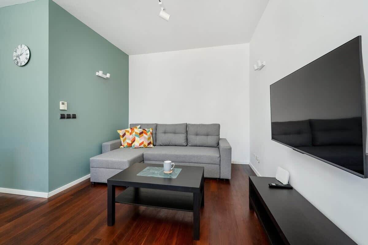 Televisor 
