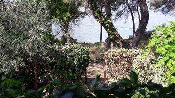 Apartment (Three Bedroom Apartment with Sea View) | Beach