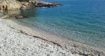 Apartment Villa Iskra