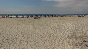 A beach with rows of blue umbrellas and beach chairs, a sandy shore, and the ocean in the background.
