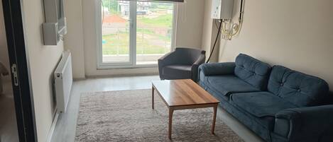 ルーム バルコニー マウンテンビュー | リビング エリア | 液晶テレビ