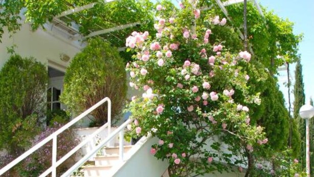 A staircase with a white railing, surrounded by lush greenery and pink flowers. - Villa Mediterranea (Zupa dubrovacka)