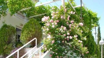 Căn hộ (One Bedroom Apartment with Sea View) | Ngoại thất