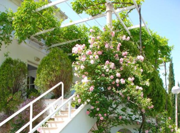 Appartement (One Bedroom Apartment with Sea View) | Extérieur