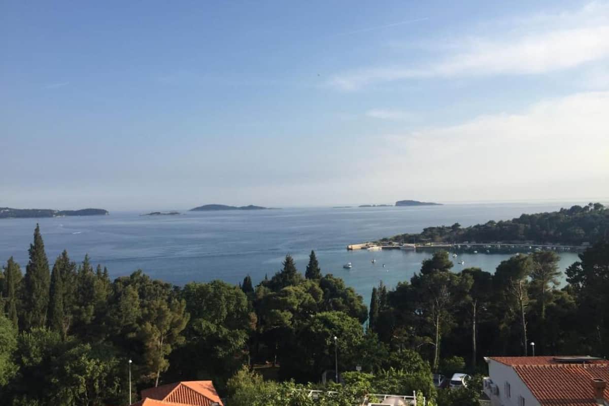 A coastal view with a clear sky, a calm sea, and a forested area in the foreground.